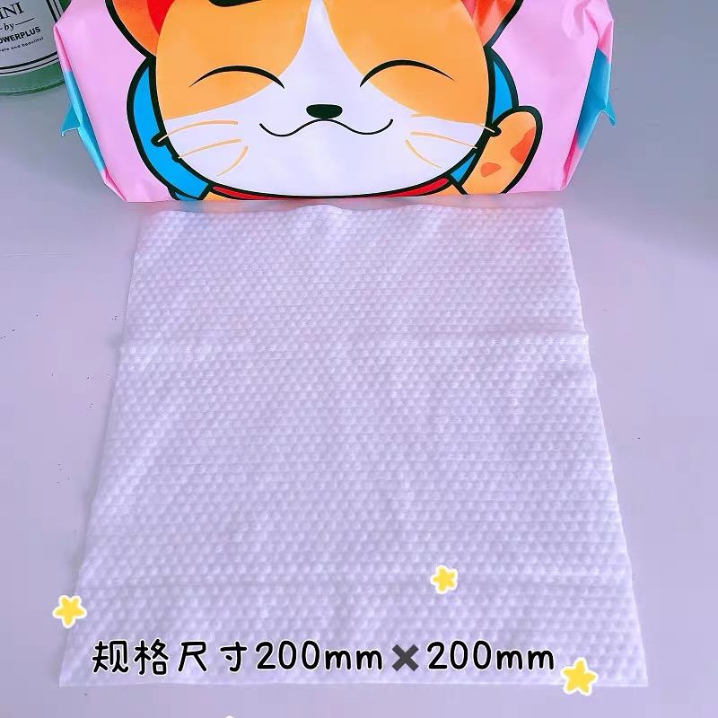 Motorcat big-pack wipes
